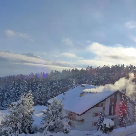 Grand Large A 18 By Interhome 公寓