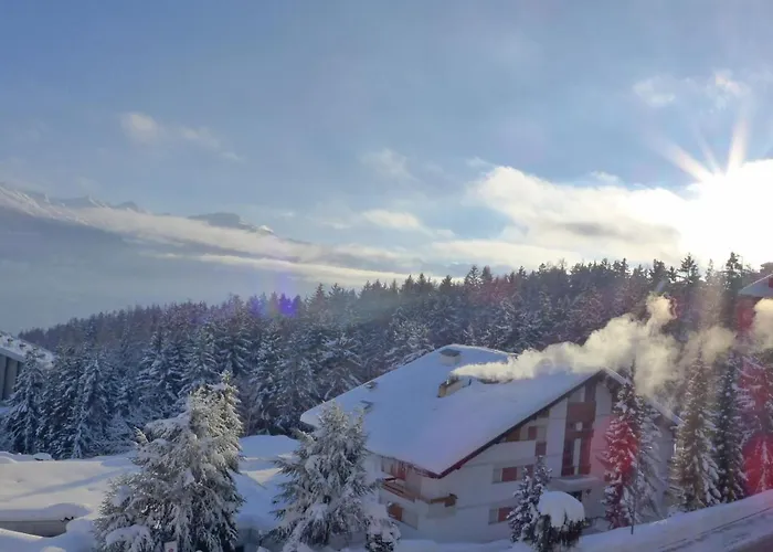 Grand Large A 18 By Interhome Daire